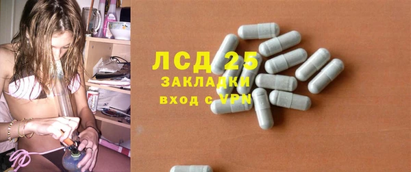 бошки Алексин
